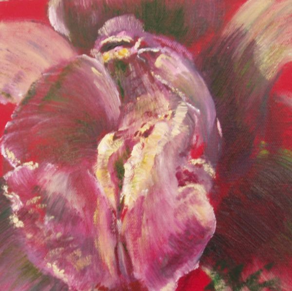 Orchid