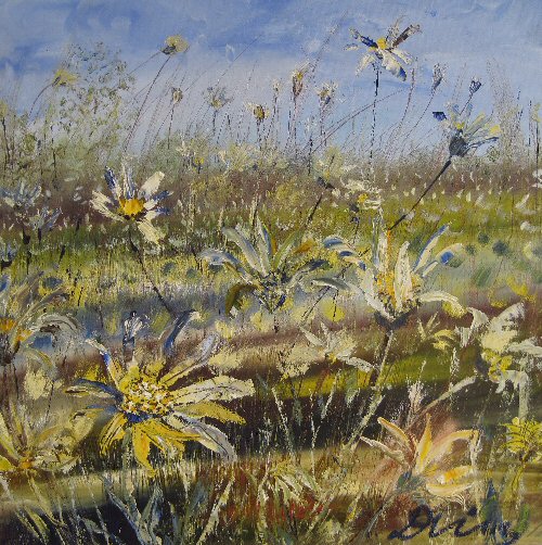 Daisies at Dodford