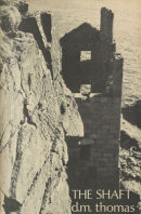 The Shaft