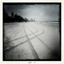 Tracks in the sand