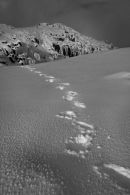 Leave only footprints