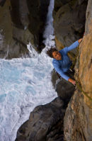 Gill on Apline