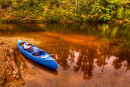 Arthur River in the Tarkine Wilderness