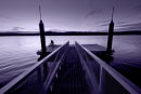 Tamar River