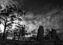 Convict graves 