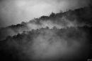 Silver Ridge in morning mist
