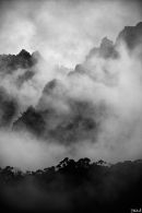 The slopes of Mt Roland in morning mist