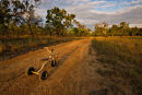 Trike