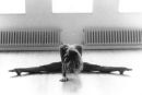 Concorde Lady