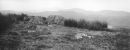 The Knoll
