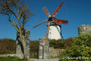Skerries Mills