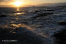 Shenick Sunrise