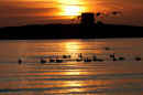 Shenick Sunrise
