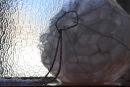 'Breath Buoy' 2009