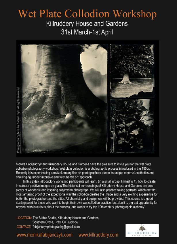 Article text