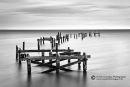 All That Remains