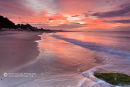 August Dawn Branksome