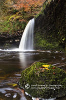 Autumn Scwd Gwladys