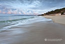Branksome Wave