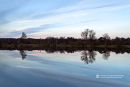 Burley Still Symmetry