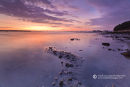 Days End Poole