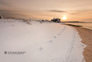 Footsteps In The Snow