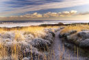 Frosty Start