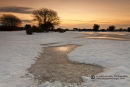 Frozen Over