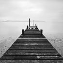 Into The Mist