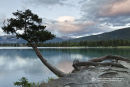 Lake Beauvert