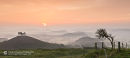 Misty Dawn Dorset