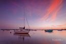 Mudeford Moonlight