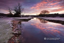 November Dawn