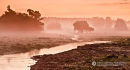 October Dawn New Forest