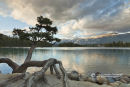 Pine Beauvert Lake