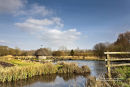 River Test The Fisherman's Hut