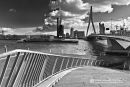 Rotterdam Erasmasbrug