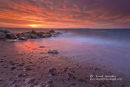 Shepherds Warning