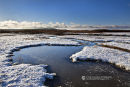 Snowy Stanpit