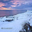 Snowy Sunset
