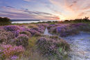 Summer Sunrise Hengistbury Head 