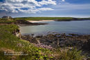 Thurleston Cliff Walk