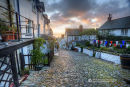 Clovelly Wakes