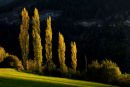 Switzerland