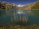 Switzerland