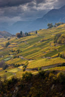 Switzerland