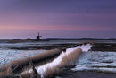 The Netherlands