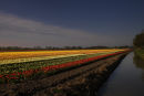 The Netherlands