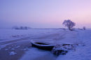 The Netherlands