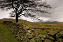 England